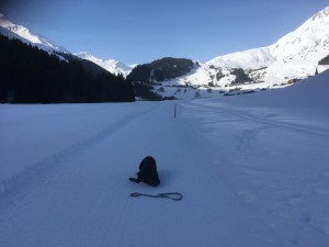 Skilager 2019 Donnerstag-0080